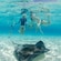A family swims near a stingray swimming along the sea floor
